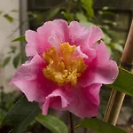 Apartment Porto.arte Downtown Porto