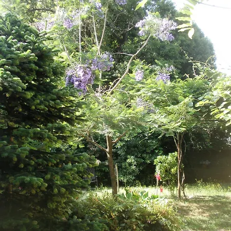 Porto.arte Downtown بورتو