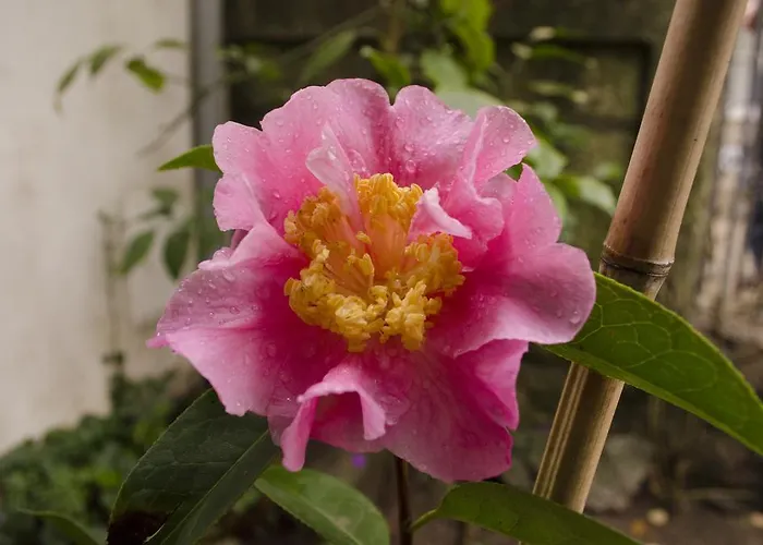 شقة Porto.arte Downtown بورتو