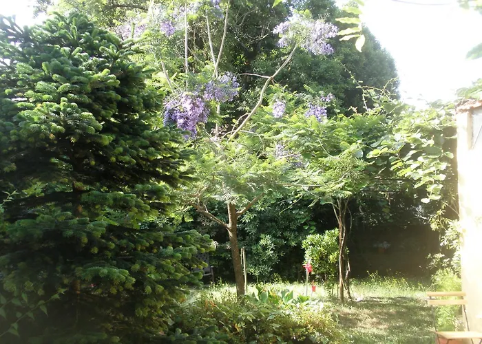 Porto.arte Downtown Oporto