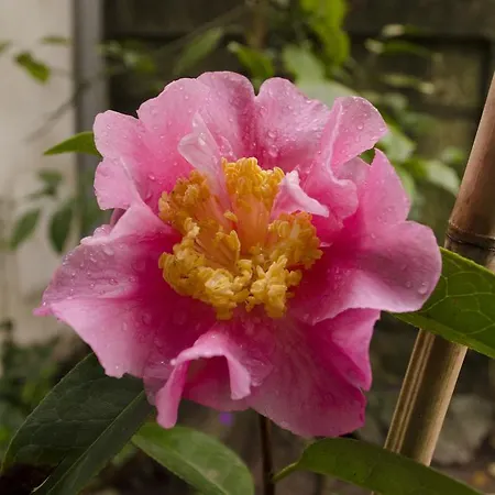 Apartment Porto.arte Downtown Porto